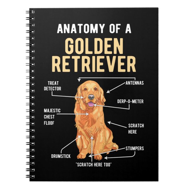 Carnet Golden Retriever Anatomie drôle chien (Devant)