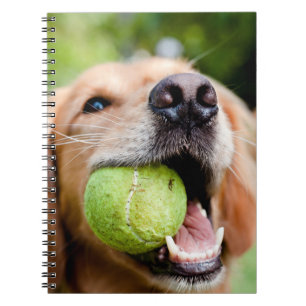 Carnet Golden Retriever Avec Le Bal De Tennis