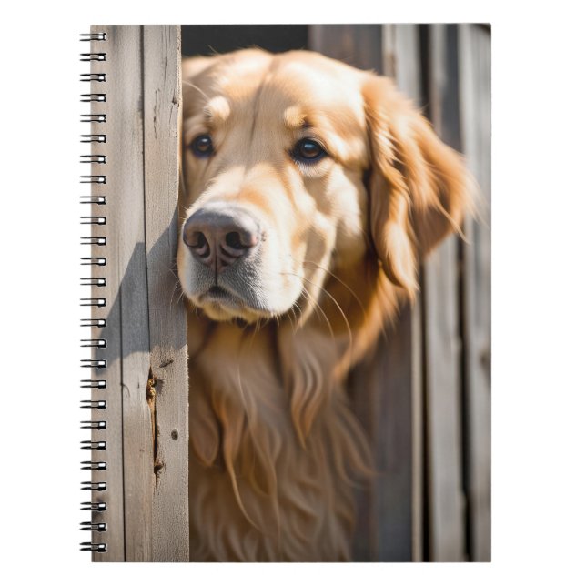 Carnet Golden Retriever Dans La Porte De La Grange (Devant)