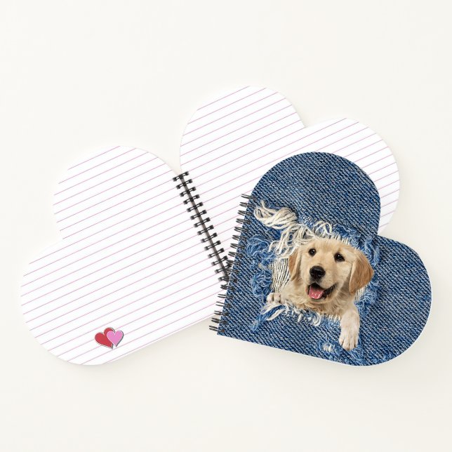 Carnet Golden Retriever dans un trou de jean bleu (Intérieur)