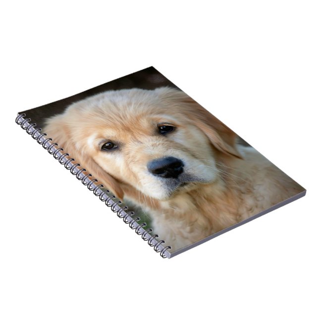 Carnet Golden Retriever Puppy (Côté Droit)