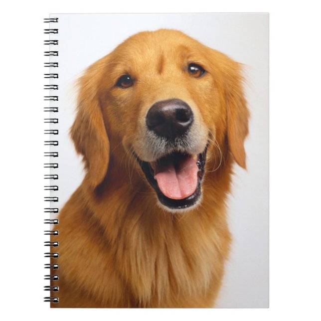 Carnet Golden Retriever Smile (Devant)