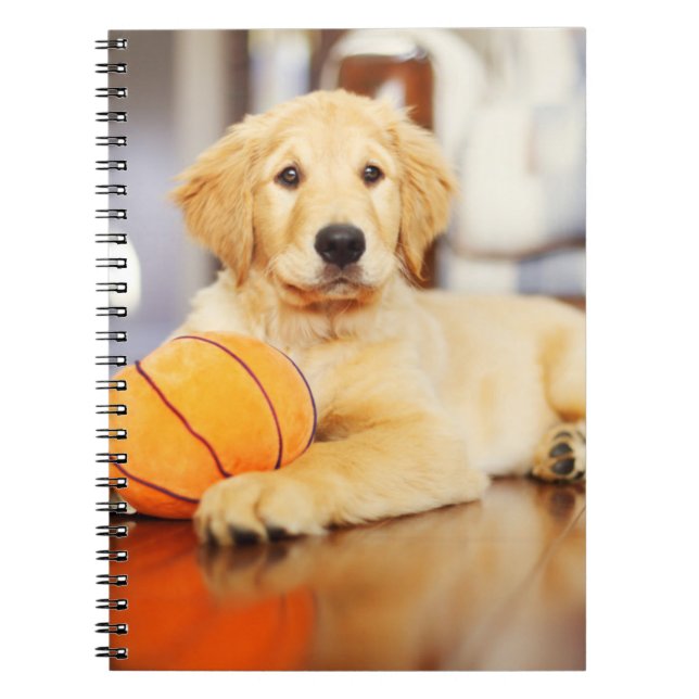 Carnet Golden Retriever With Basketball Toy (Devant)