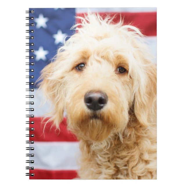Carnet Goldendoodle avec drapeau américain (Devant)
