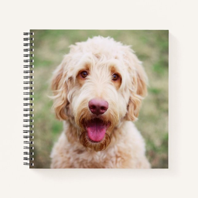 Carnet Goldendoodle souriant (Devant)