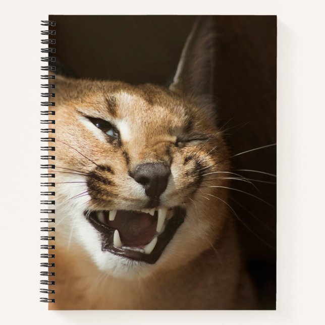 Carnet Goofy Lynx (Devant)