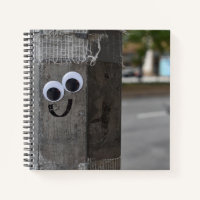 Googly Eyes Eyeballs New York City Photographie NY