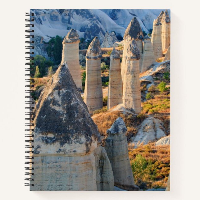 Carnet Goreme, Cheminées de fées (Devant)
