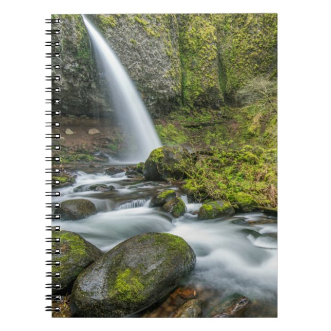 Carnet Gorge du fleuve Columbia, chutes Ponytail (Devant)