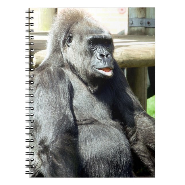 CARNET GORILLA (Devant)