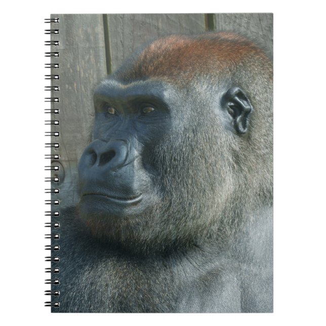 Carnet Gorilla Lope (Devant)