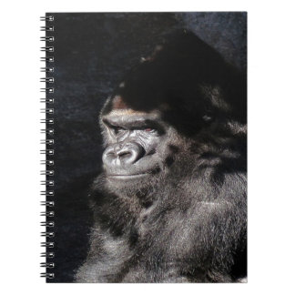 Carnet Gorilla réfléchie
