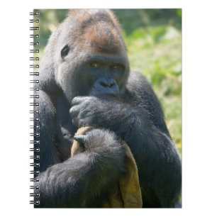 Carnet Gorille D'Argent Et Sa Couverture