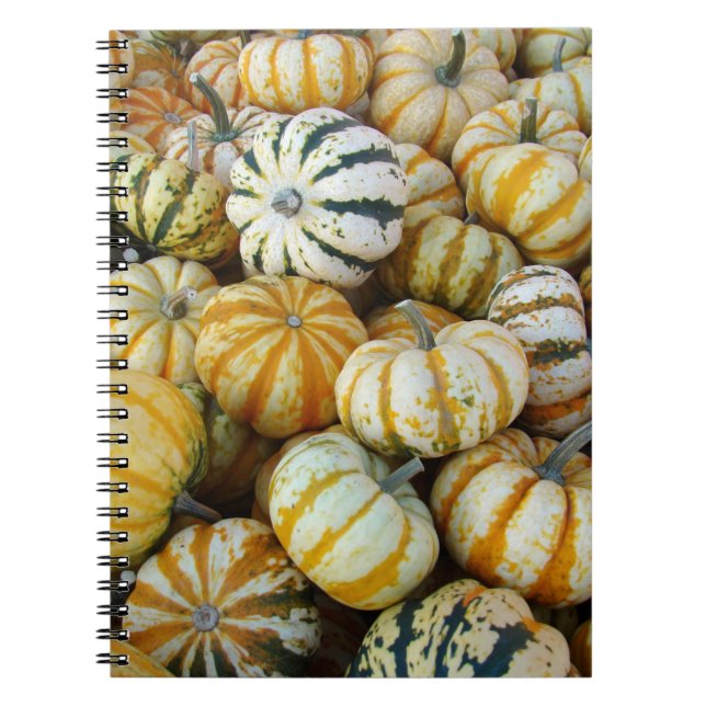 Carnet Gourtes de récolte d'automne orange et vert (Devant)