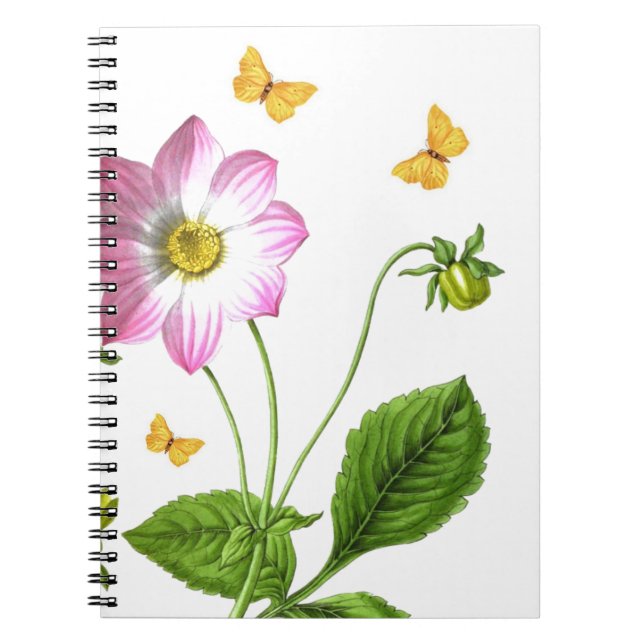 Carnet Grâce (Devant)