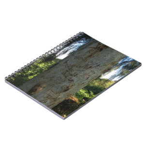 Carnet Graffiti thaïlandais