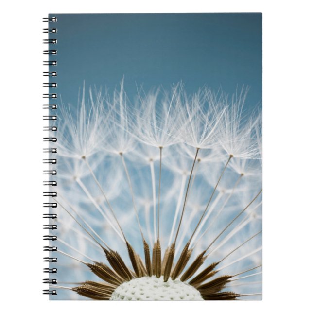 Carnet Graines de pissenlit (Devant)