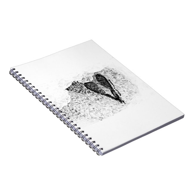 Carnet Graines glacées amoureuses (Côté Droit)