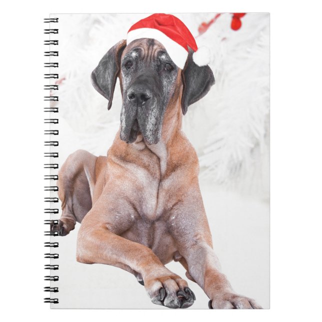 Carnet Grand Danois Chapeau Joyeux Noël (Devant)