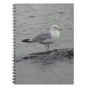 Carnet Grand goéland