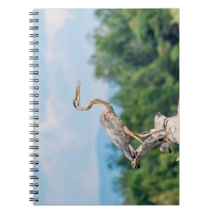 Carnet Grand héron bleu