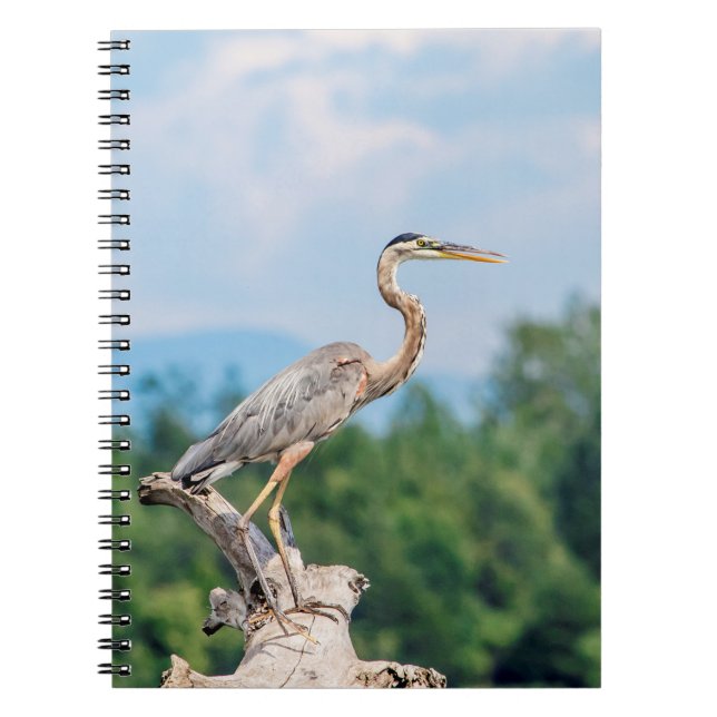 Carnet Grand héron bleu (Devant)