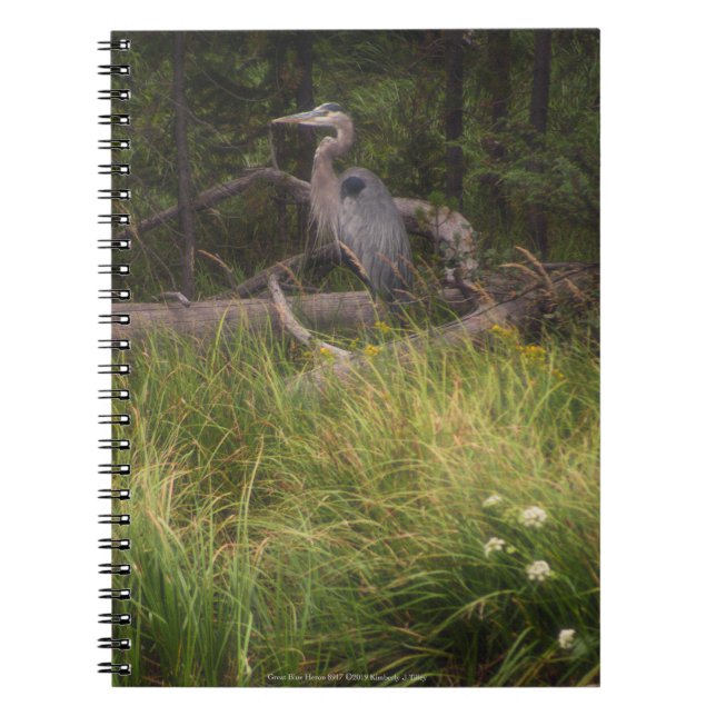 Carnet Grand héron bleu 8917 (Devant)