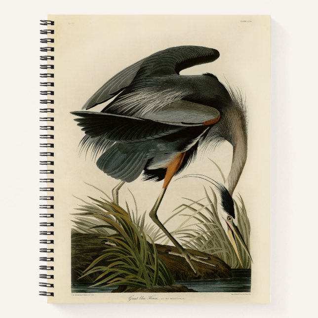 Carnet Grand Héron bleu d'Audubon Marais Oiseau (Devant)