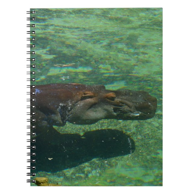 Carnet Grand Hippone Nageant Sous L'Eau, (Devant)