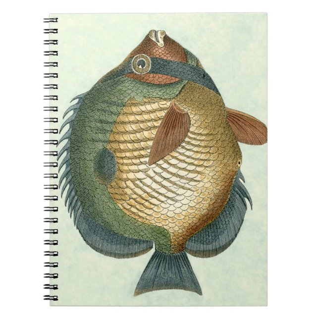 Carnet Grand Poisson Coloré (Devant)