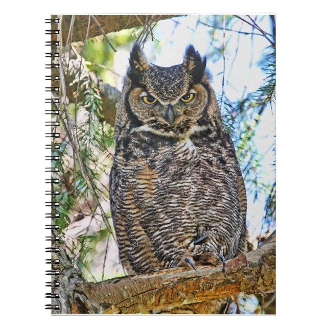 Carnet Grand regarder de hibou à cornes (Devant)