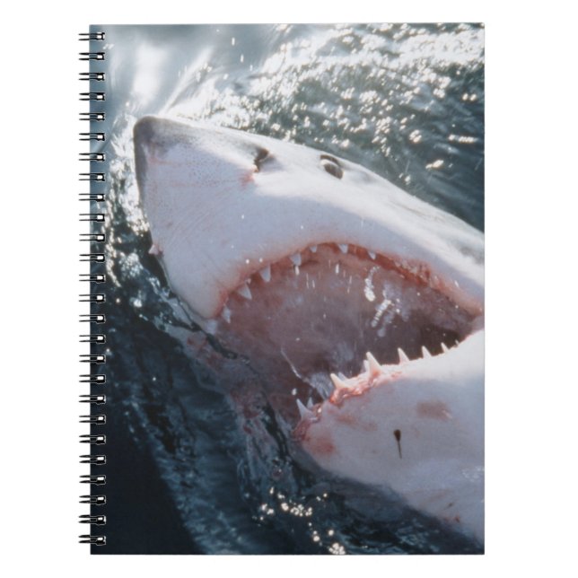 Carnet Grand requin blanc en mer (Devant)