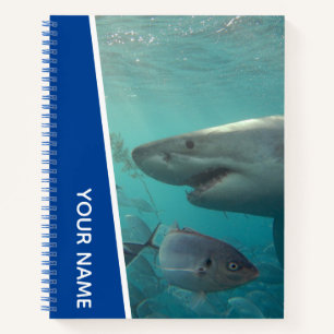 Carnet Grand requin blanc et poisson Australie, bleu