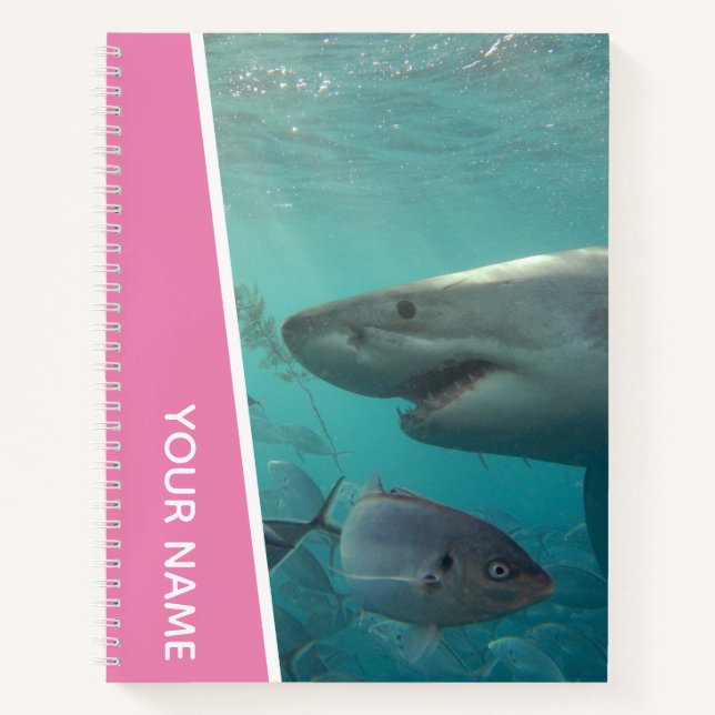 Carnet Grand requin blanc et poisson Australie, rose (Devant)