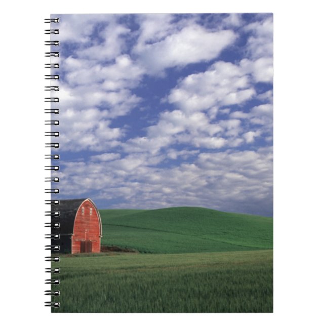 Carnet Grange rouge dans un champ de blé et d'orge à Whit (Devant)