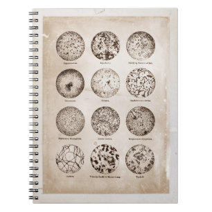 Carnet Graphique de la médecine Vintage des bactéries a