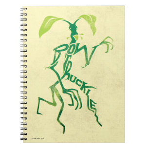 Carnet Graphique de typographie BOWTRUCKLE™ PICKETT™