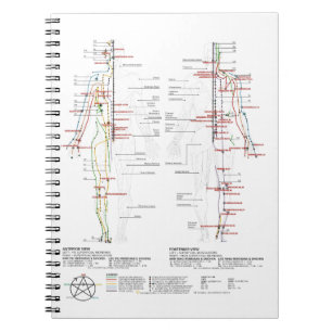 Carnet Graphique des méridiens humains