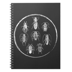 Carnet Graphique Insectes de la nature du collecteur de b