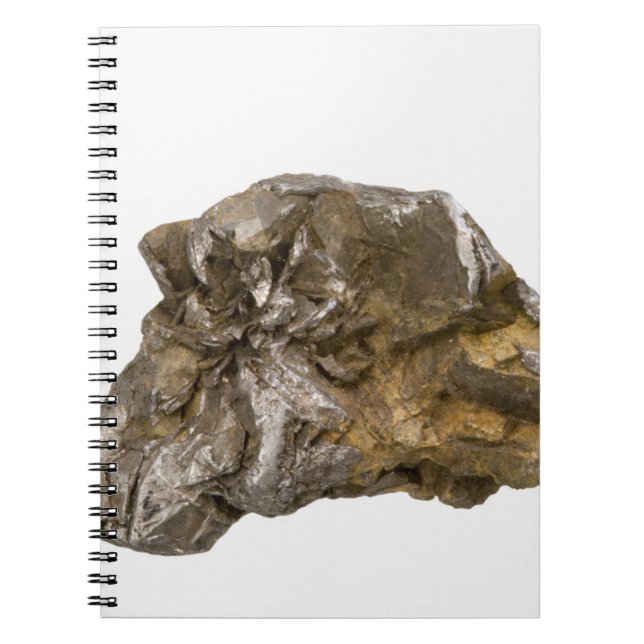 Carnet Graphite, Danville, Vermont, Etats-Unis (Devant)