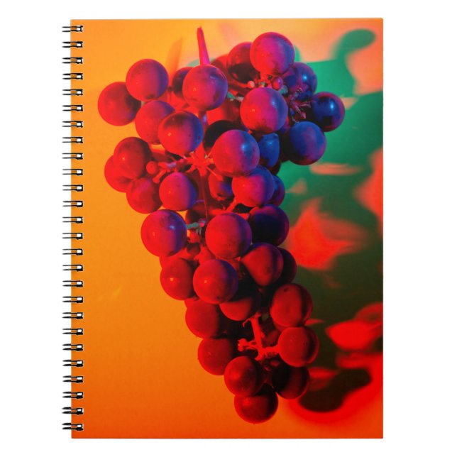 Carnet Grappe de raisin bleu à la lumière de néon orange. (Devant)