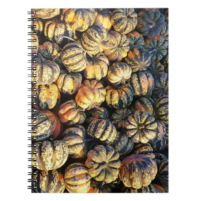 Carnet Grappes de citrouilles rayées  (Devant)