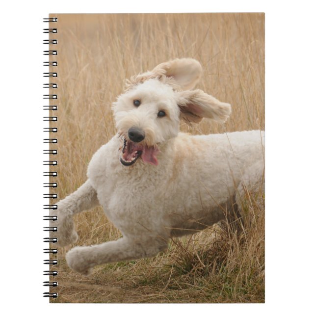 Carnet Grass de Runs (Devant)