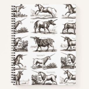 Carnet Gravure de licorne antique Spécimen de zoologie vi