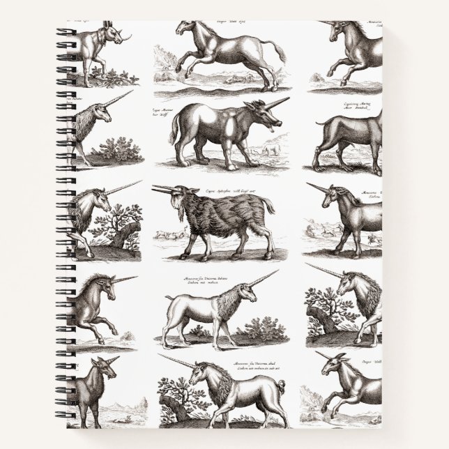 Carnet Gravure de licorne antique Spécimen de zoologie vi (Devant)