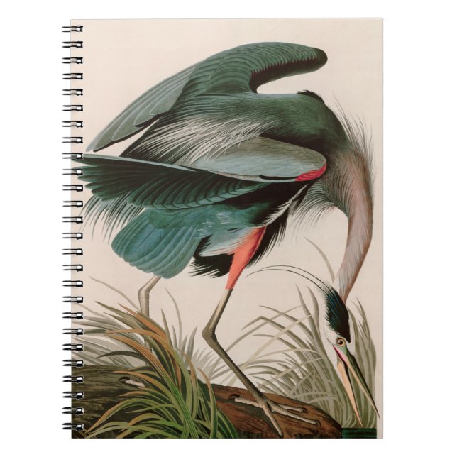 Carnet Great Blue Heron Birds of America Audubon Imprimer (Devant)