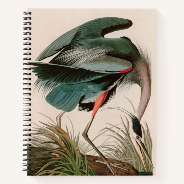 Carnet Great Blue Heron Birds of America Audubon Imprimer (Devant)