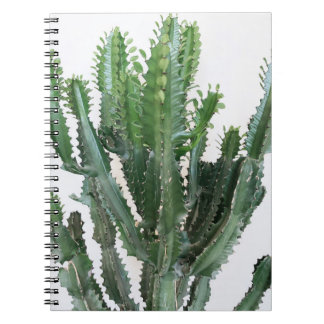 Carnet Green Cactus : minimaliste Arrière - plan blanc