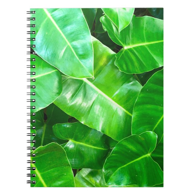 Carnet Green feuille Palm Leaf feuillage tropical jungle (Devant)