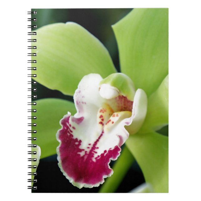 Carnet Green Orchid (Devant)